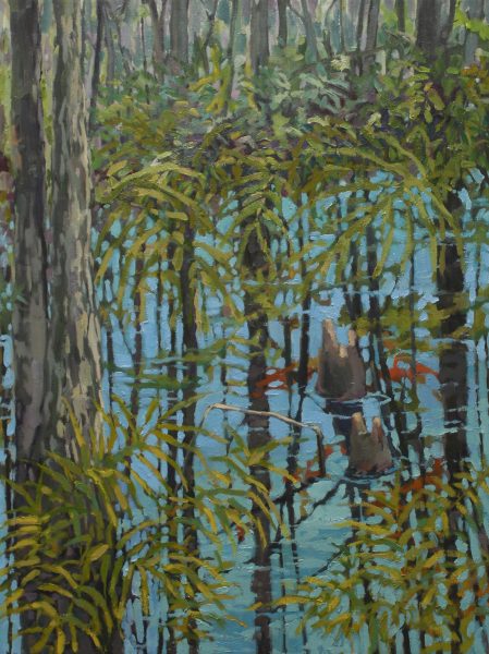 Everglades Reflection