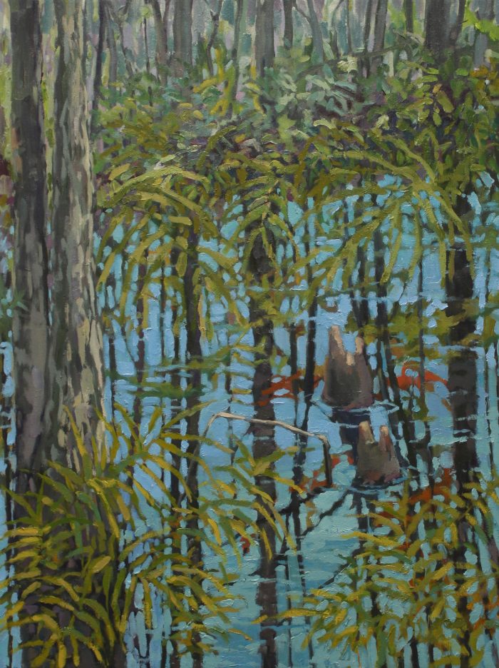 Everglades Reflection