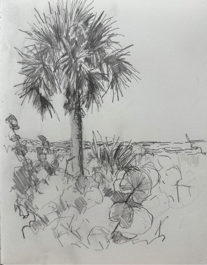 Cabbage Palm - Artist Cynthia Maronet