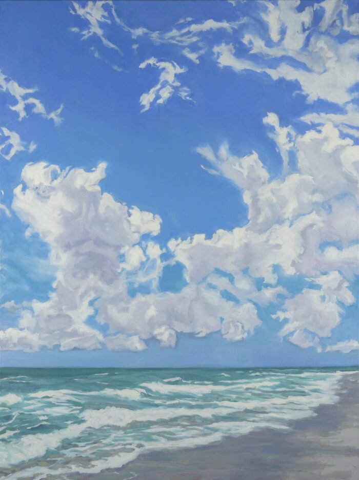 Chasing Clouds - Artist Cynthia Maronet