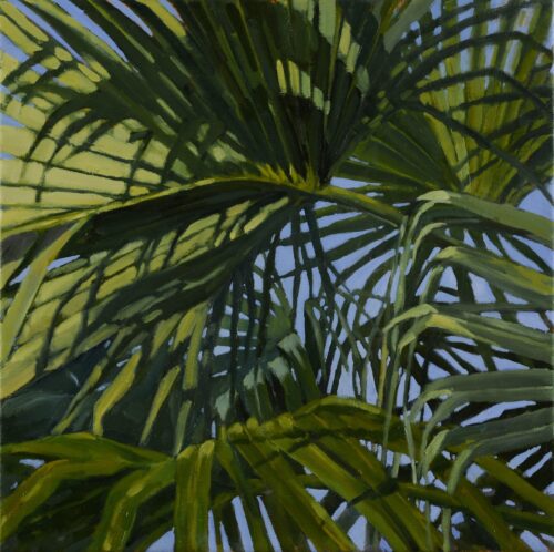 Fan Palm Patterns - Artist Cynthia Maronet