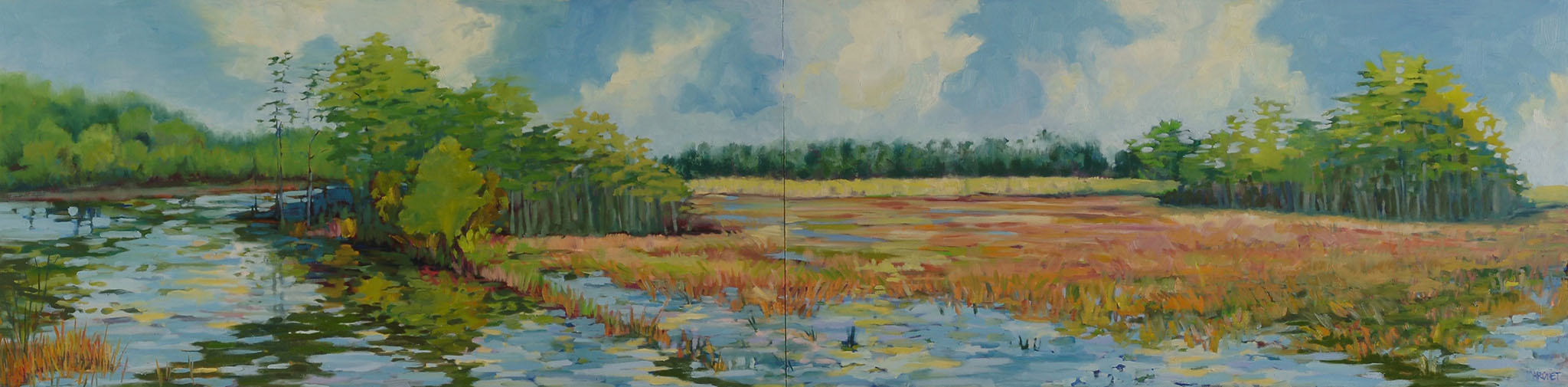 Grassy Waters Panorama