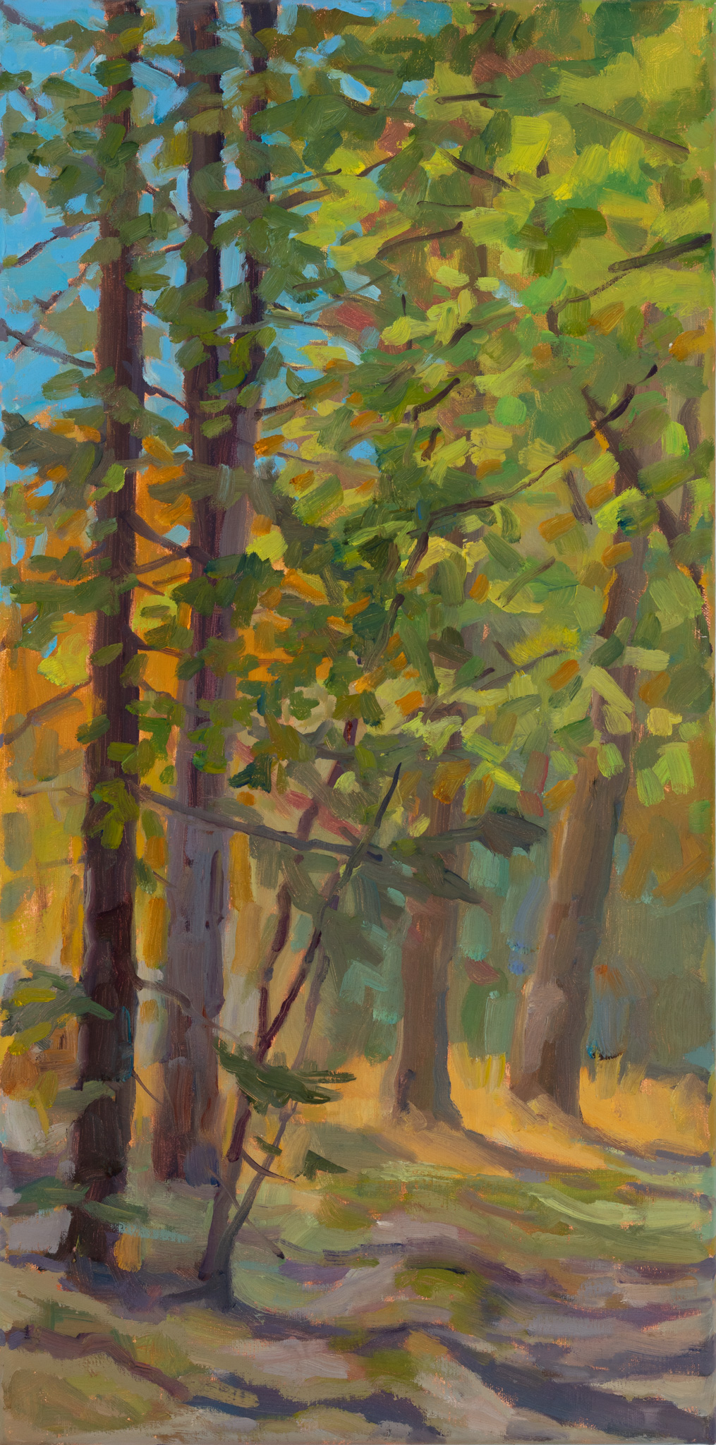 Leaves of Gold