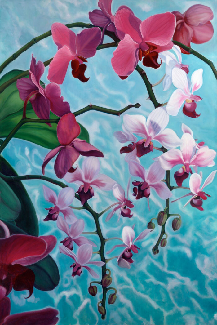 Pool Orchids